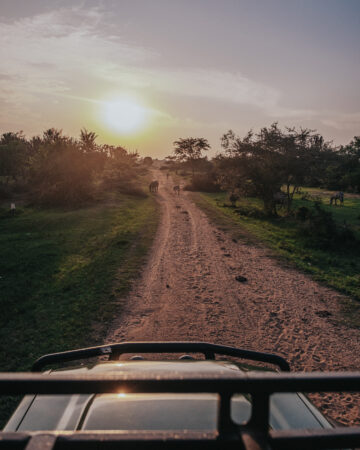 Lake Mburo National Park