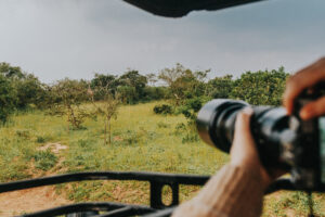 8-Day Wild Life, Primates and Cultural Uganda Safari