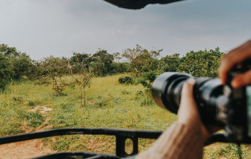 8-Day Wild Life, Primates and Cultural Uganda Safari