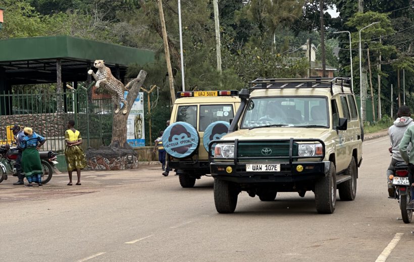 5-Day Murchison Falls & Kibale Chimp Habituation Safari