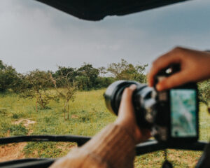 9-Day Uganda Gorillas & Rwanda Chimps, Monkeys & Safari